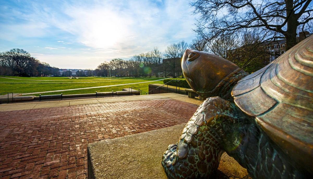 Testudo