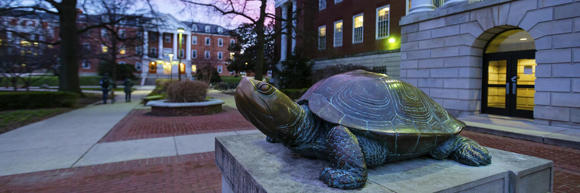 photo of Testudo